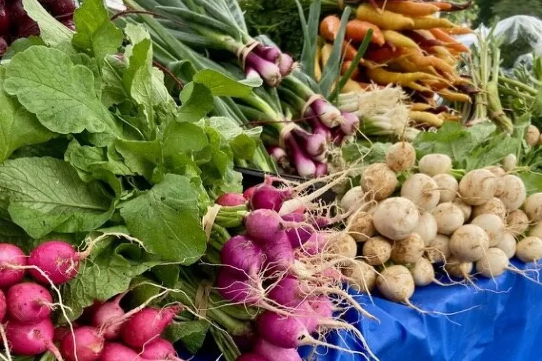 Farmers Market Vegetables