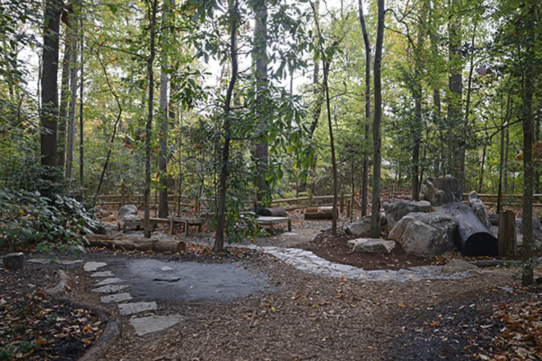 botanical garden.