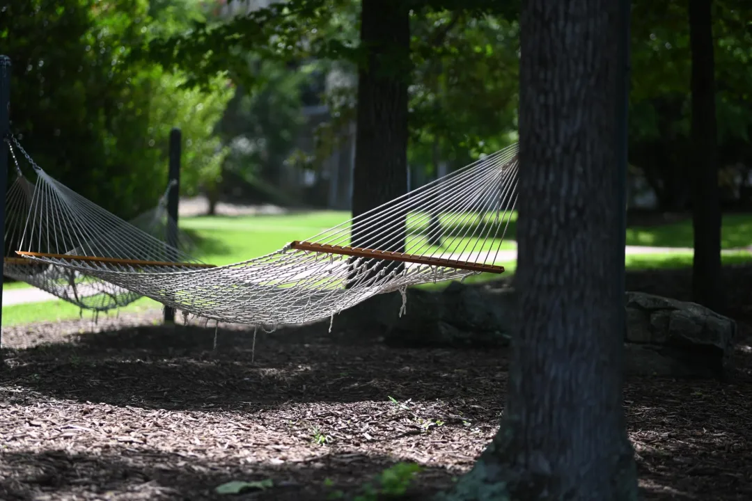 hammock.